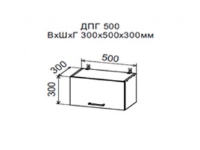Шкаф верхний ДПГ500 горизонтальный в Верхнем Уфалее - verhnij-ufalej.магазин96.com | фото