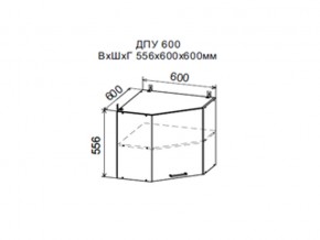 Шкаф верхний ДПУ600 угловой в Верхнем Уфалее - verhnij-ufalej.магазин96.com | фото